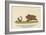 There Was a Young Lady of Clare, Who Was Madly Pursued by a Bear from 'A Book of Nonsense'-Edward Lear-Framed Giclee Print