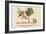 There Was an Old Man in a Tree, Who Was Terribly Bored by a Bee-Edward Lear-Framed Giclee Print