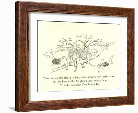 There Was an Old Man in a Tree, Whose Whiskers Were Lovely to See-Edward Lear-Framed Giclee Print