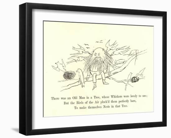 There Was an Old Man in a Tree, Whose Whiskers Were Lovely to See-Edward Lear-Framed Giclee Print