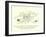 There Was an Old Man in a Tree, Whose Whiskers Were Lovely to See-Edward Lear-Framed Giclee Print