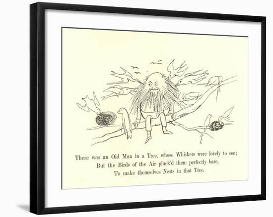 There Was an Old Man in a Tree, Whose Whiskers Were Lovely to See-Edward Lear-Framed Giclee Print