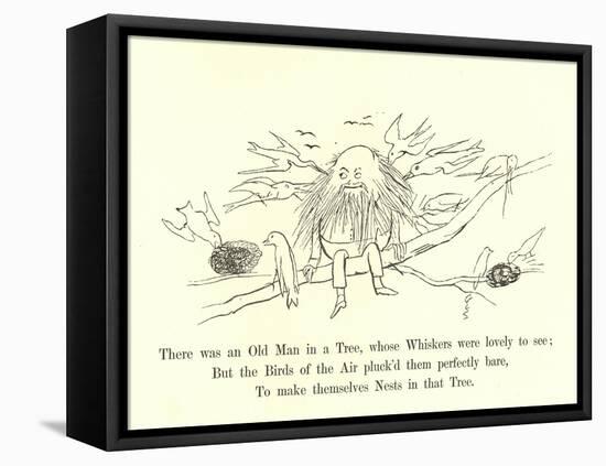 There Was an Old Man in a Tree, Whose Whiskers Were Lovely to See-Edward Lear-Framed Premier Image Canvas