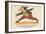 There Was an Old Man of Corfu, Who Never Knew What He Should Do-Edward Lear-Framed Giclee Print