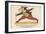 There Was an Old Man of Corfu, Who Never Knew What He Should Do-Edward Lear-Framed Giclee Print