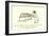 There Was an Old Man of Dumbree, Who Taught Little Owls to Drink Tea-Edward Lear-Framed Giclee Print