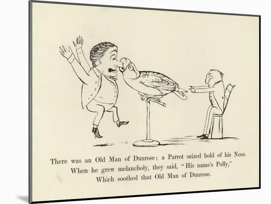 There Was an Old Man of Dunrose; a Parrot Seized Hold of His Nose-Edward Lear-Mounted Giclee Print