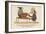 There Was an Old Man of Vienna, Who Lived Upon Tincture of Senna-Edward Lear-Framed Giclee Print