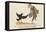 There Was an Old Man of Whitehaven, Who Danced a Quadrille with a Raven-Edward Lear-Framed Premier Image Canvas