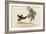 There Was an Old Man of Whitehaven, Who Danced a Quadrille with a Raven-Edward Lear-Framed Giclee Print