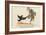 There Was an Old Man of Whitehaven, Who Danced a Quadrille with a Raven-Edward Lear-Framed Giclee Print