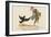 There Was an Old Man of Whitehaven, Who Danced a Quadrille with a Raven-Edward Lear-Framed Giclee Print