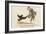 There Was an Old Man of Whitehaven, Who Danced a Quadrille with a Raven-Edward Lear-Framed Giclee Print