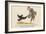 There Was an Old Man of Whitehaven, Who Danced a Quadrille with a Raven-Edward Lear-Framed Giclee Print