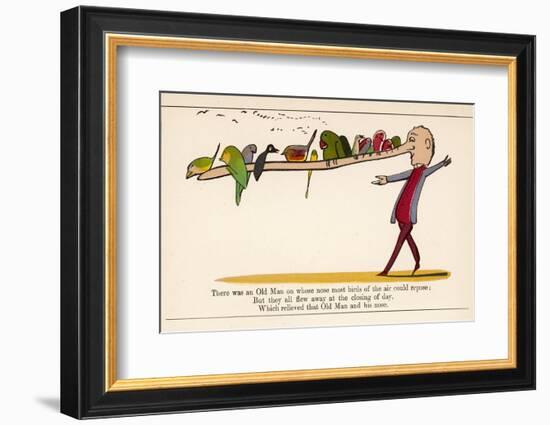 There was an Old Man on Whose Nose Most Birds of the Air Could Repose-Edward Lear-Framed Photographic Print