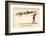 There was an Old Man on Whose Nose Most Birds of the Air Could Repose-Edward Lear-Framed Photographic Print