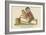 There Was an Old Man with an Owl, Who Continued to Bother and Howl-Edward Lear-Framed Giclee Print