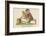 There Was an Old Man with an Owl, Who Continued to Bother and Howl-Edward Lear-Framed Giclee Print