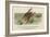 There Was an Old Person of Ems, Who Casually Fell in the Thames-Edward Lear-Framed Giclee Print