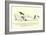 There Was an Old Person of Hove, Who Frequented the Depths of a Grove-Edward Lear-Framed Giclee Print