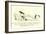 There Was an Old Person of Hove, Who Frequented the Depths of a Grove-Edward Lear-Framed Giclee Print