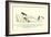 There Was an Old Person of Hove, Who Frequented the Depths of a Grove-Edward Lear-Framed Giclee Print