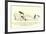 There Was an Old Person of Hove, Who Frequented the Depths of a Grove-Edward Lear-Framed Giclee Print