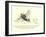 There Was an Old Person of Rye, Who Went Up to Town on a Fly-Edward Lear-Framed Giclee Print