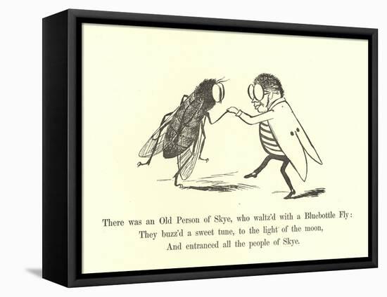 There Was an Old Person of Skye, Who Waltz'D with a Bluebottle Fly-Edward Lear-Framed Premier Image Canvas