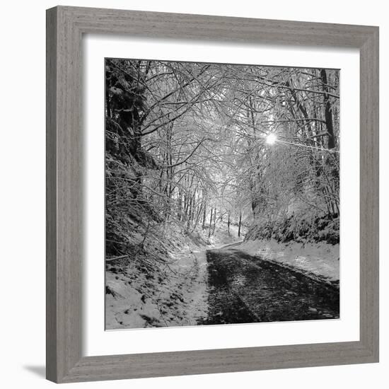 There you Are-Tomislav Bogovic-Framed Photographic Print