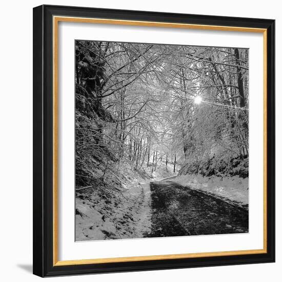 There you Are-Tomislav Bogovic-Framed Photographic Print