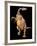 Therizinosaurus Dinosaur-Joe Tucciarone-Framed Photographic Print