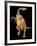 Therizinosaurus Dinosaur-Joe Tucciarone-Framed Photographic Print