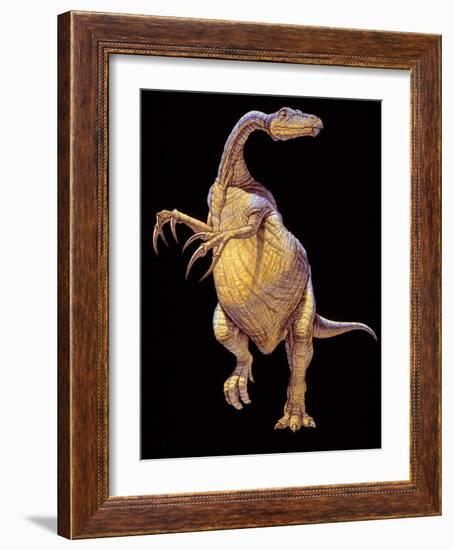 Therizinosaurus Dinosaur-Joe Tucciarone-Framed Photographic Print