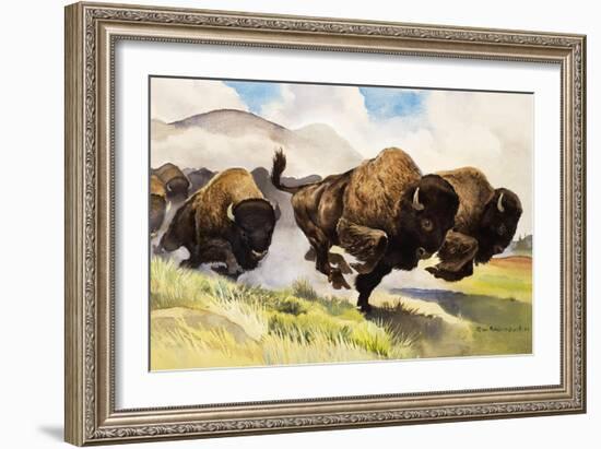 These Buffalo are Bison, 1962-G. W Backhouse-Framed Premium Giclee Print