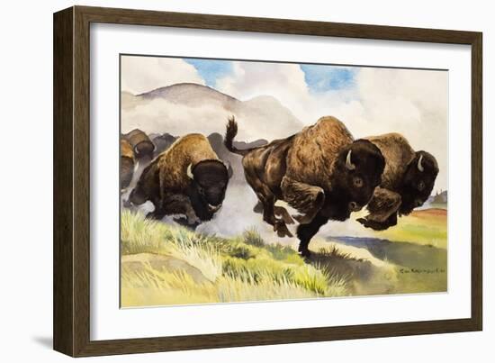 These Buffalo are Bison, 1962-G. W Backhouse-Framed Premium Giclee Print