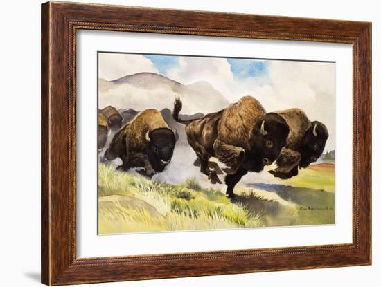 These Buffalo are Bison, 1962-G. W Backhouse-Framed Giclee Print