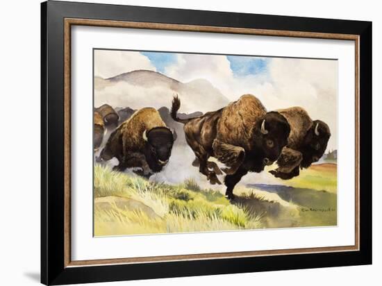 These Buffalo are Bison, 1962-G. W Backhouse-Framed Giclee Print