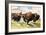 These Buffalo are Bison, 1962-G. W Backhouse-Framed Giclee Print