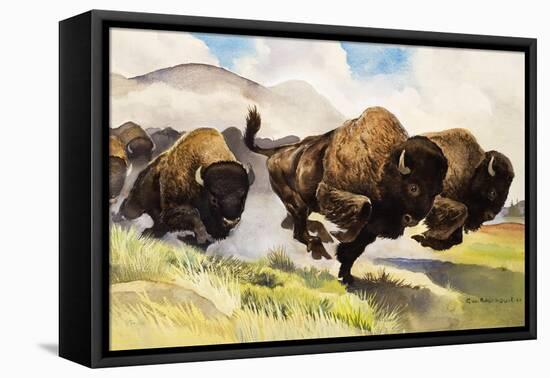 These Buffalo are Bison, 1962-G. W Backhouse-Framed Premier Image Canvas