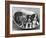 These Four Cavalier King Charles Spaniel Puppies Sit Quietly in the Basket-Thomas Fall-Framed Photographic Print
