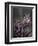 These Great Horned Owls, Washington, USA-Charles Sleicher-Framed Photographic Print