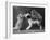 These Two Kittens Have Fun with a Toy Dog-Thomas Fall-Framed Photographic Print
