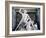 Theseus and the Centaur, 1804-1819-Antonio Canova-Framed Photographic Print