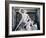 Theseus and the Centaur, 1804-1819-Antonio Canova-Framed Photographic Print