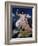 Thetis and Jupiter-Jean-Auguste-Dominique Ingres-Framed Art Print