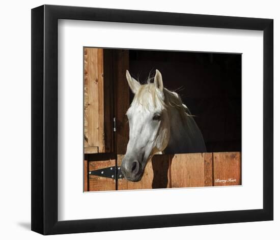 They Call Him Trouble (color)-Barry Hart-Framed Art Print