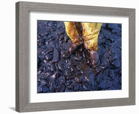Thick Crude Oil Washed up on the Cobble Beach of Evans Island-null-Framed Photographic Print