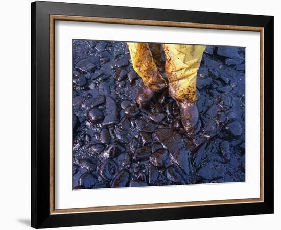 Thick Crude Oil Washed up on the Cobble Beach of Evans Island-null-Framed Photographic Print