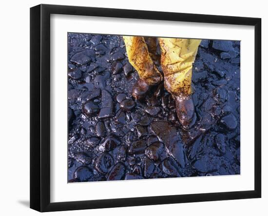 Thick Crude Oil Washed up on the Cobble Beach of Evans Island-null-Framed Photographic Print